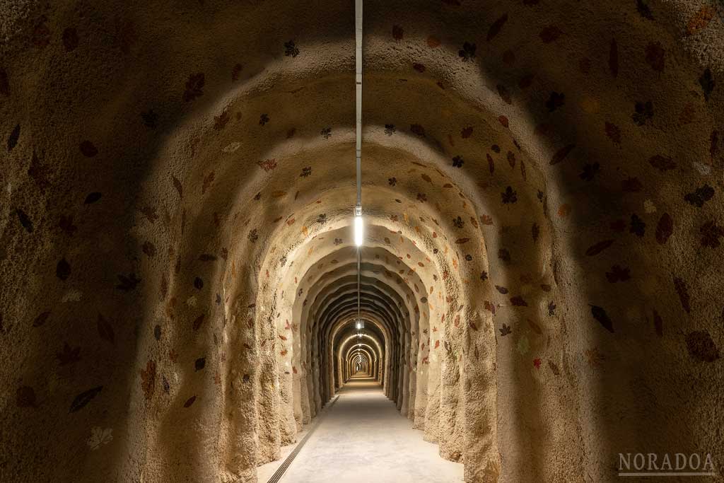 Entrada al túnel de Leorza-Cicujano
